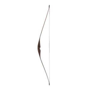 Bodnik Bows Slick Stick Hybrid