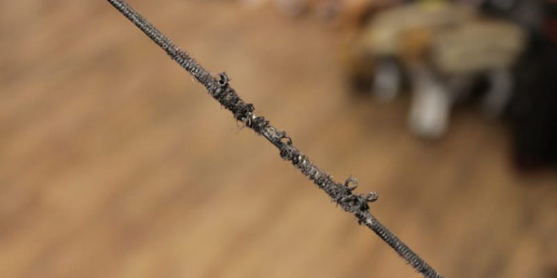 Defekte und durchgescheuerte Mittenwicklung einer Bogensehne