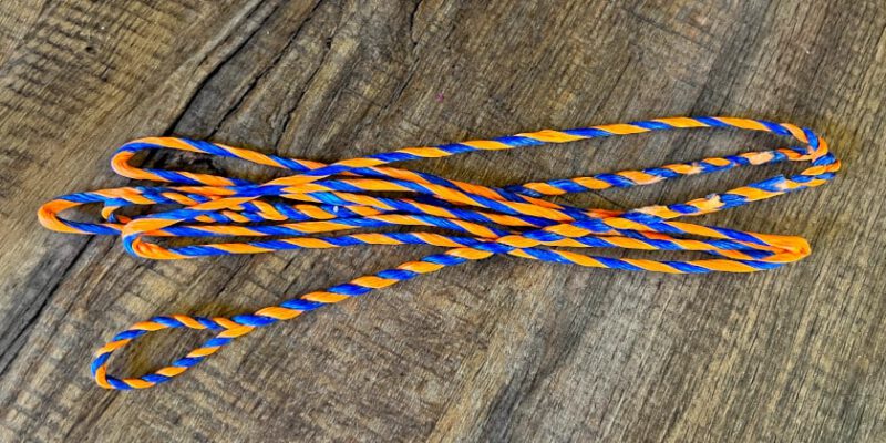 Sehne Flämisch Spleiss bunt