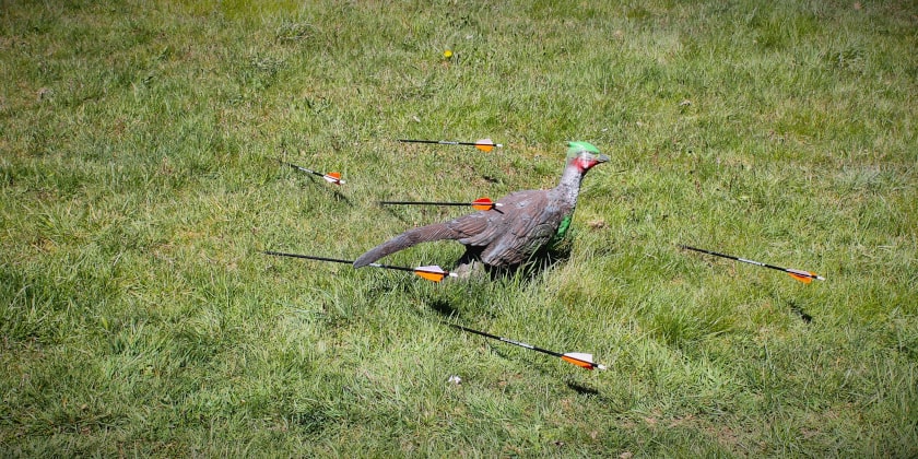 Streuung Streukreis Bogenschießen