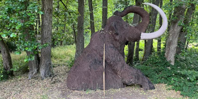 Ziel richtig absichern